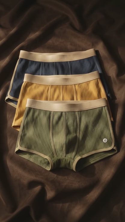 Mason Organic Cotton Boxer Briefs Set
